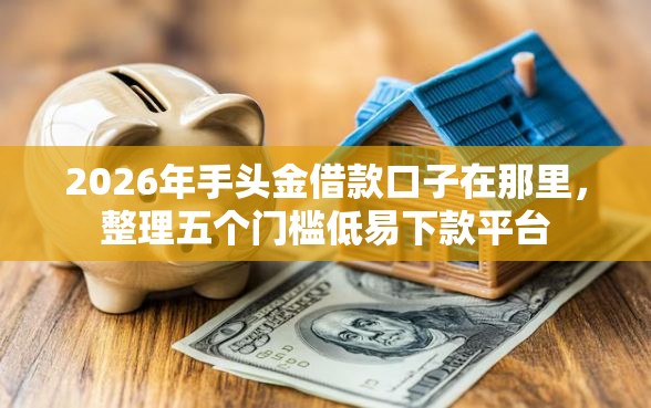 2026年手头金借款口子在那里，整理五个门槛低易下款平台