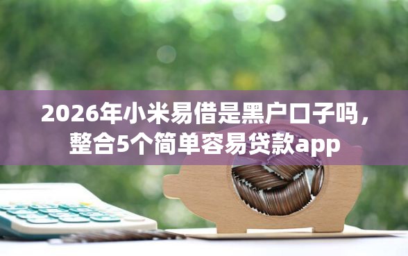 2026年小米易借是黑户口子吗，整合5个简单容易贷款app