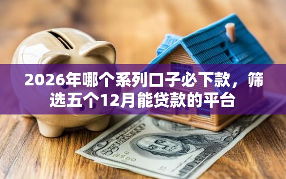 2026年哪个系列口子必下款，筛选五个12月能贷款的平台