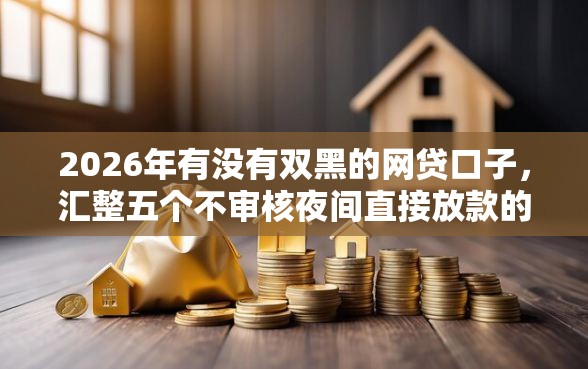 2026年有没有双黑的网贷口子，汇整五个不审核夜间直接放款的网贷口子
