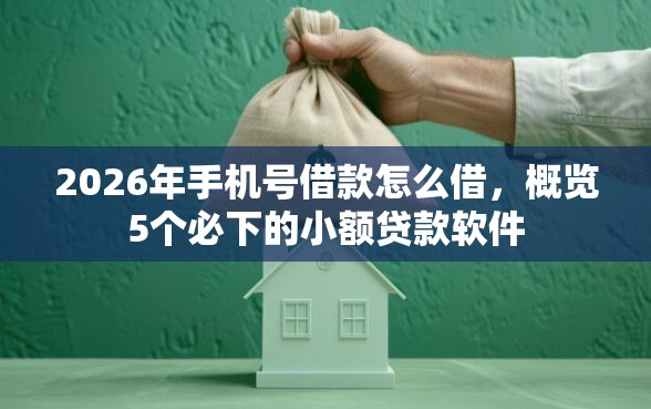 2026年手机号借款怎么借，概览5个必下的小额贷款软件