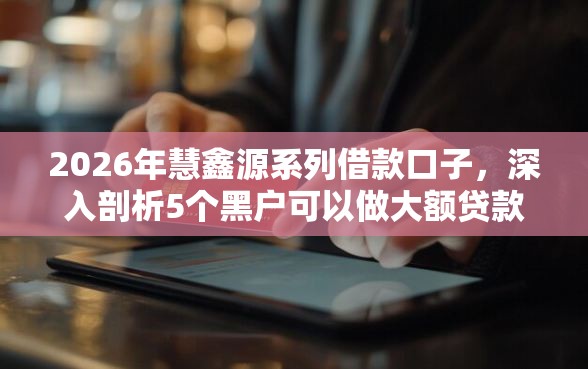 2026年慧鑫源系列借款口子，深入剖析5个黑户可以做大额贷款口子