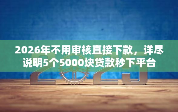 2026年不用审核直接下款，详尽说明5个5000块贷款秒下平台