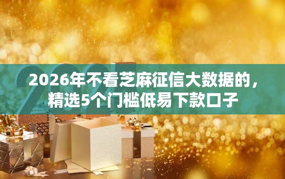 2026年不看芝麻征信大数据的，精选5个门槛低易下款口子