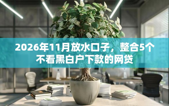 2026年11月放水口子，整合5个不看黑白户下款的网贷