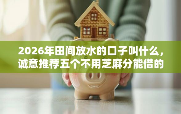 2026年田间放水的口子叫什么，诚意推荐五个不用芝麻分能借的口子