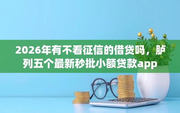 2026年有不看征信的借贷吗，胪列五个最新秒批小额贷款app