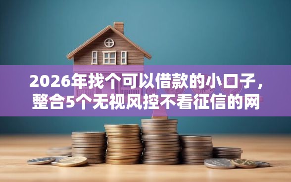 2026年找个可以借款的小口子，整合5个无视风控不看征信的网贷