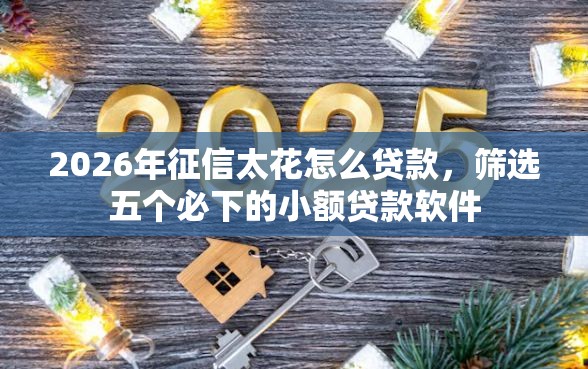 2026年征信太花怎么贷款，筛选五个必下的小额贷款软件