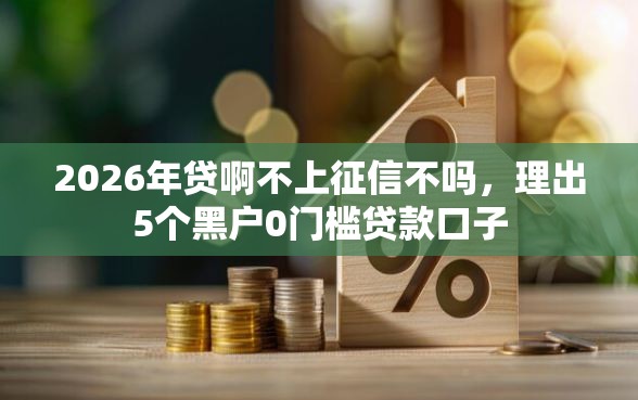 2026年贷啊不上征信不吗，理出5个黑户0门槛贷款口子