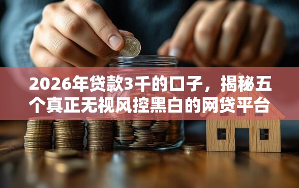 2026年贷款3千的口子，揭秘五个真正无视风控黑白的网贷平台