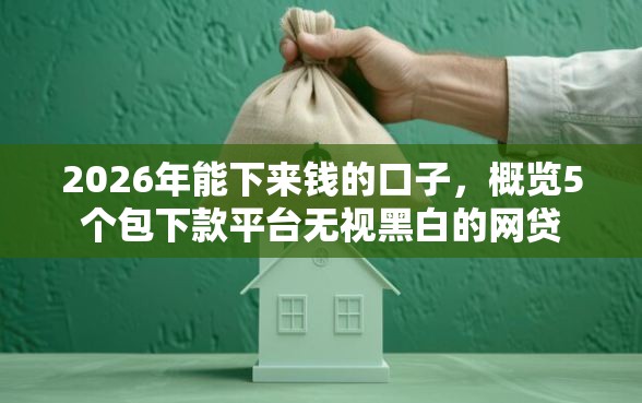 2026年能下来钱的口子，概览5个包下款平台无视黑白的网贷