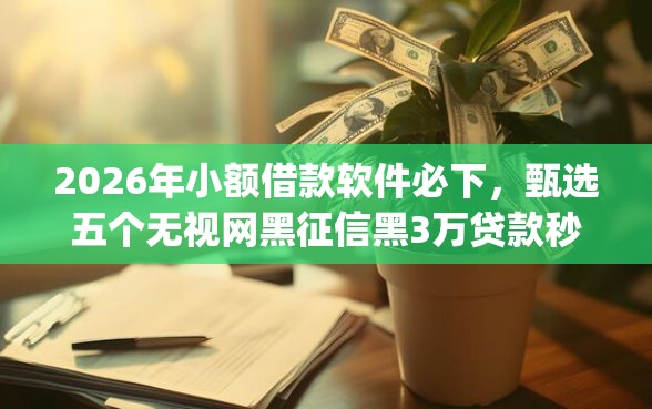 2026年小额借款软件必下，甄选五个无视网黑征信黑3万贷款秒款app名单