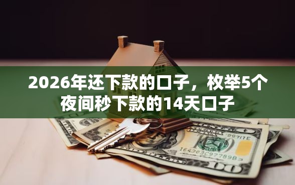 2026年还下款的口子，枚举5个夜间秒下款的14天口子