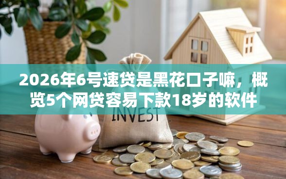 2026年6号速贷是黑花口子嘛，概览5个网贷容易下款18岁的软件