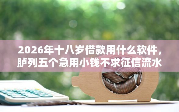 2026年十八岁借款用什么软件，胪列五个急用小钱不求征信流水轻松贷的口子
