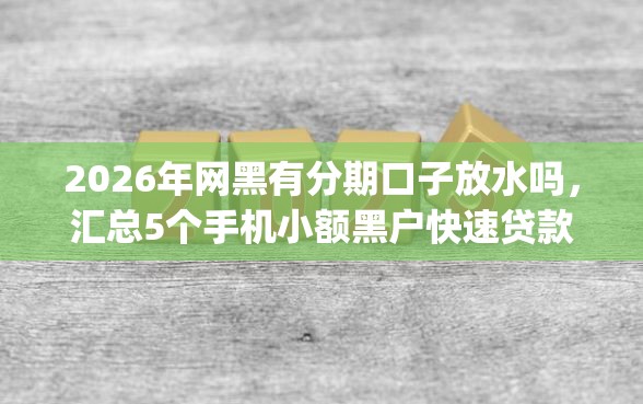 2026年网黑有分期口子放水吗，汇总5个手机小额黑户快速贷款app