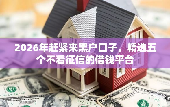 2026年赶紧来黑户口子，精选五个不看征信的借钱平台