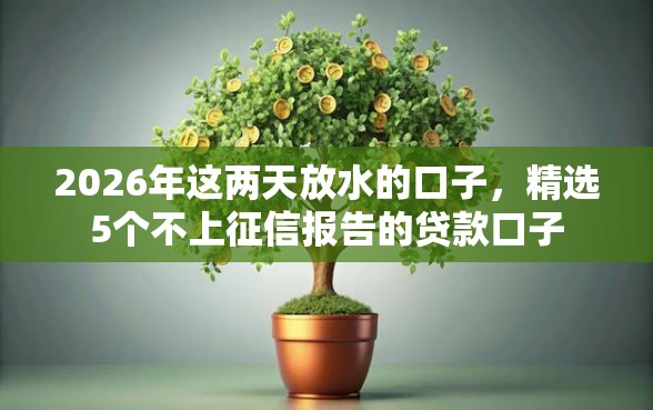 2026年这两天放水的口子，精选5个不上征信报告的贷款口子