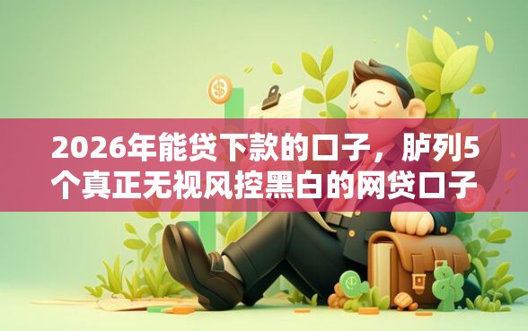 2026年能贷下款的口子，胪列5个真正无视风控黑白的网贷口子