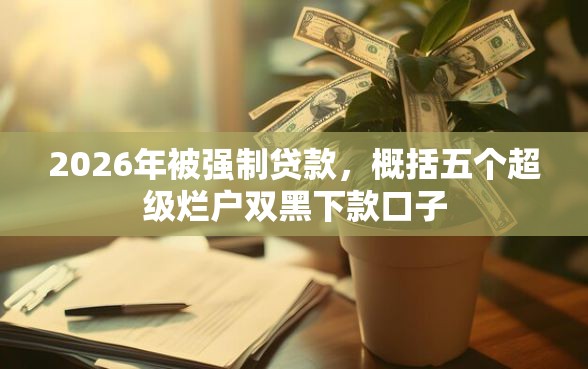 2026年被强制贷款，概括五个超级烂户双黑下款口子