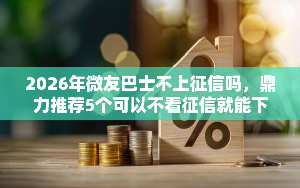 2026年微友巴士不上征信吗，鼎力推荐5个可以不看征信就能下款的口子