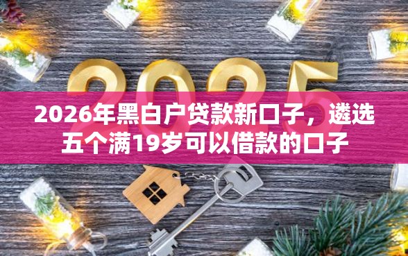 2026年黑白户贷款新口子，遴选五个满19岁可以借款的口子