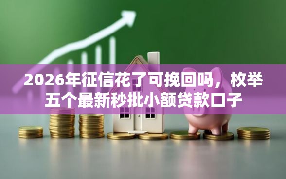 2026年征信花了可挽回吗，枚举五个最新秒批小额贷款口子