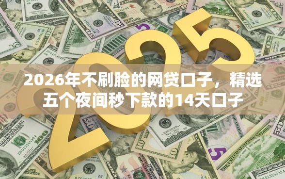 2026年不刷脸的网贷口子，精选五个夜间秒下款的14天口子
