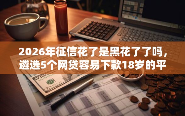 2026年征信花了是黑花了了吗，遴选5个网贷容易下款18岁的平台