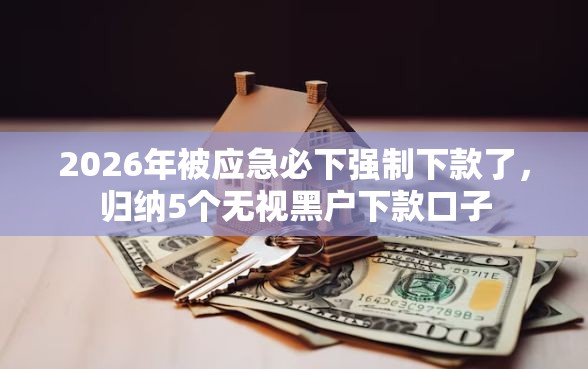 2026年被应急必下强制下款了，归纳5个无视黑户下款口子