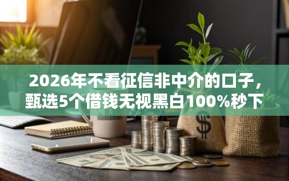 2026年不看征信非中介的口子，甄选5个借钱无视黑白100%秒下软件