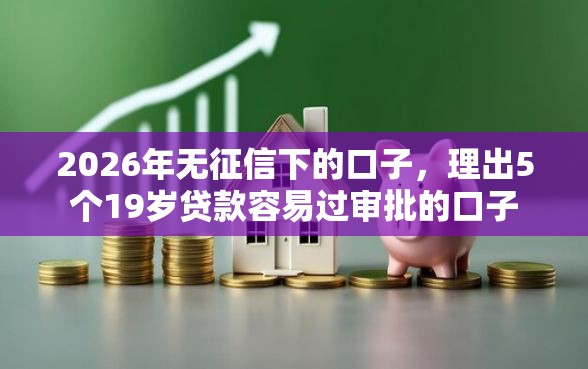 2026年无征信下的口子，理出5个19岁贷款容易过审批的口子