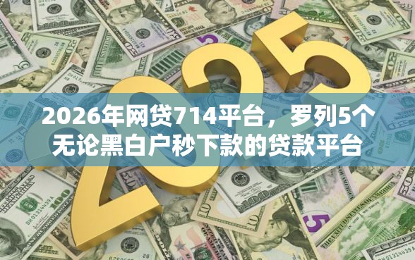 2026年网贷714平台，罗列5个无论黑白户秒下款的贷款平台