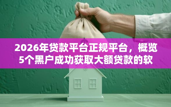 2026年贷款平台正规平台，概览5个黑户成功获取大额贷款的软件