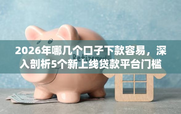2026年哪几个口子下款容易，深入剖析5个新上线贷款平台门槛低app
