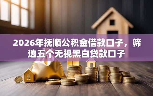 2026年抚顺公积金借款口子，筛选五个无视黑白贷款口子