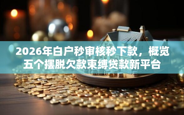 2026年白户秒审核秒下款，概览五个摆脱欠款束缚贷款新平台