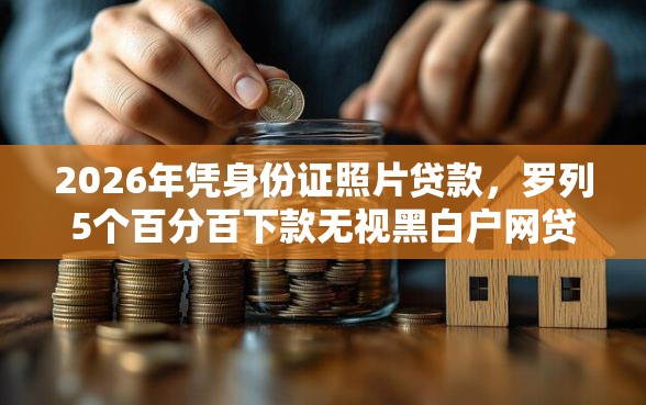 2026年凭身份证照片贷款，罗列5个百分百下款无视黑白户网贷口子
