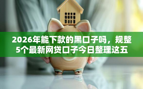 2026年能下款的黑口子吗，规整5个最新网贷口子今日整理这五个口子