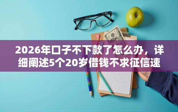 2026年口子不下款了怎么办，详细阐述5个20岁借钱不求征信速借平台