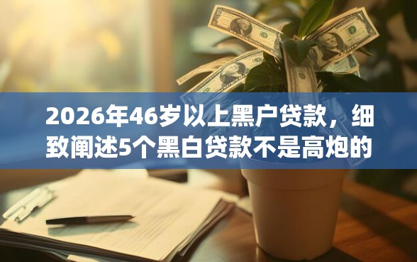 2026年46岁以上黑户贷款，细致阐述5个黑白贷款不是高炮的app