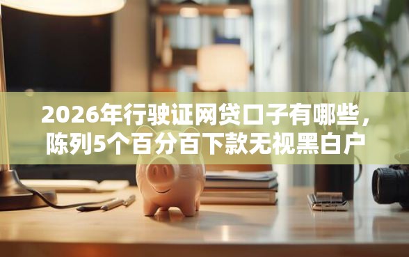 2026年行驶证网贷口子有哪些，陈列5个百分百下款无视黑白户网贷软件