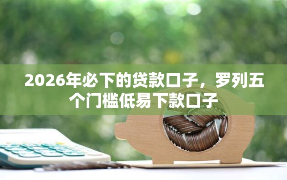 2026年必下的贷款口子，罗列五个门槛低易下款口子