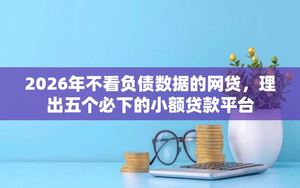 2026年不看负债数据的网贷，理出五个必下的小额贷款平台