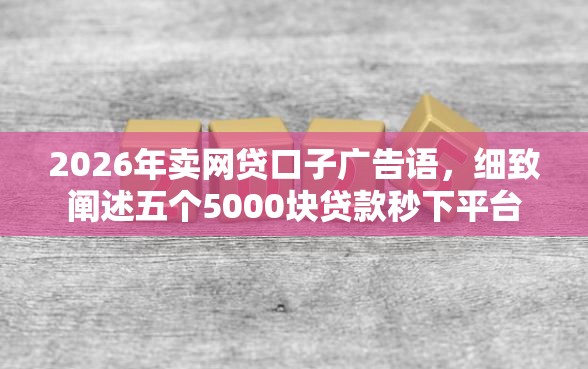 2026年卖网贷口子广告语，细致阐述五个5000块贷款秒下平台