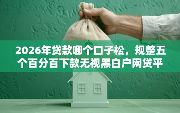 2026年贷款哪个口子松，规整五个百分百下款无视黑白户网贷平台