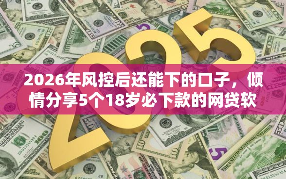 2026年风控后还能下的口子，倾情分享5个18岁必下款的网贷软件