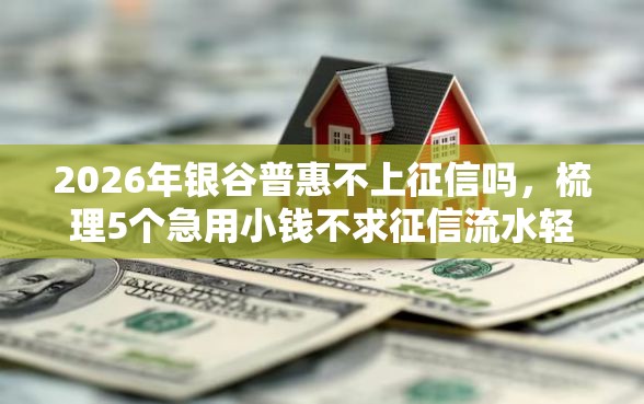 2026年银谷普惠不上征信吗，梳理5个急用小钱不求征信流水轻松贷的软件