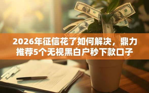 2026年征信花了如何解决，鼎力推荐5个无视黑白户秒下款口子软件